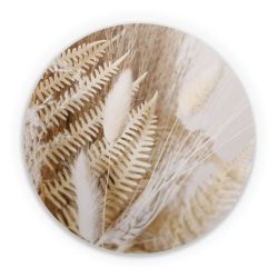 Folien für weitere Geräte matt