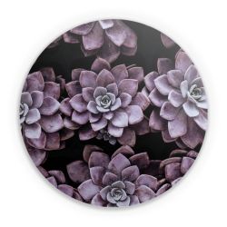 Folien für weitere Geräte matt