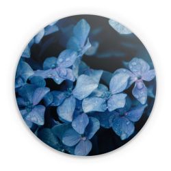 Folien für weitere Geräte matt