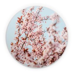 Folien für weitere Geräte matt