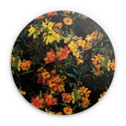 Folien für weitere Geräte matt