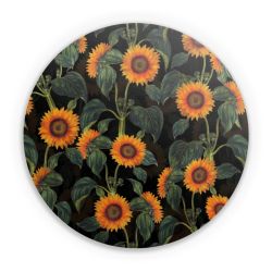 Folien für weitere Geräte matt