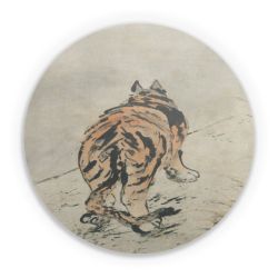 Folien für weitere Geräte matt