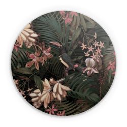 Folien für weitere Geräte matt