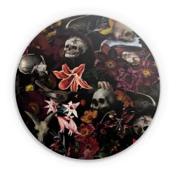 Folien für weitere Geräte matt