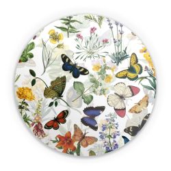 Folien für weitere Geräte matt