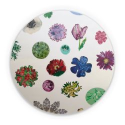 Folien für weitere Geräte matt