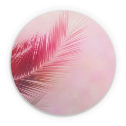 Folien für weitere Geräte matt