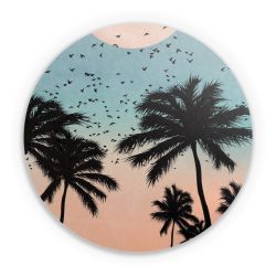 Folien für weitere Geräte matt