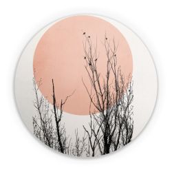 Folien für weitere Geräte matt