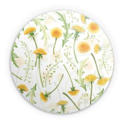 Folien für weitere Geräte matt