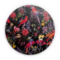 Folien für weitere Geräte matt