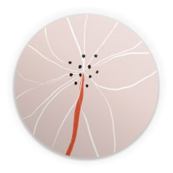 Folien für weitere Geräte matt