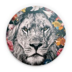 Folien für weitere Geräte matt