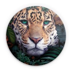 Folien für weitere Geräte matt