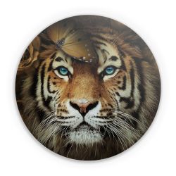 Folien für weitere Geräte matt