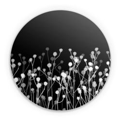 Folien für weitere Geräte matt