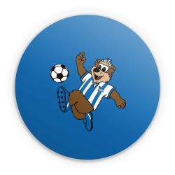 Folien für weitere Geräte matt