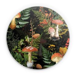 Folien für weitere Geräte matt