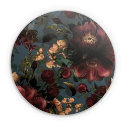 Folien für weitere Geräte matt