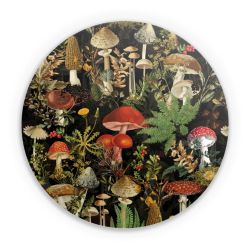 Folien für weitere Geräte matt