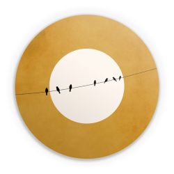 Folien für weitere Geräte matt