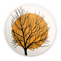 Folien für weitere Geräte matt