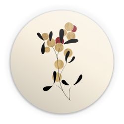 Folien für weitere Geräte matt