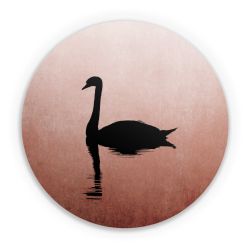 Folien für weitere Geräte matt