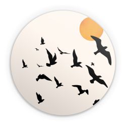 Folien für weitere Geräte matt