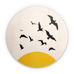 Folien für weitere Geräte matt