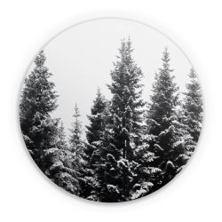 Folien für weitere Geräte matt