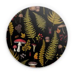 Folien für weitere Geräte matt