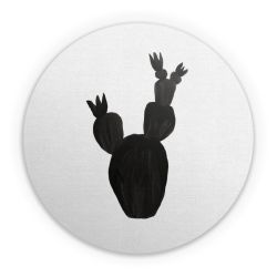 Folien für weitere Geräte matt