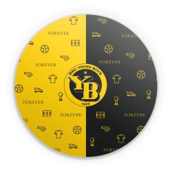 Folien für weitere Geräte matt