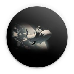 Folien für weitere Geräte matt