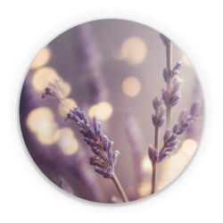 Folien für weitere Geräte matt