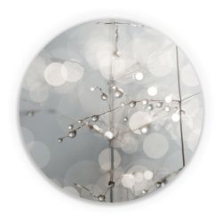 Folien für weitere Geräte matt