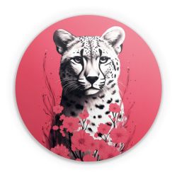 Folien für weitere Geräte matt