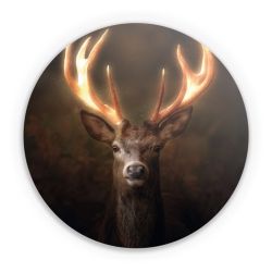 Folien für weitere Geräte matt