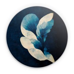 Folien für weitere Geräte matt