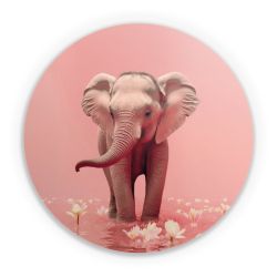 Folien für weitere Geräte matt