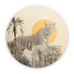 Folien für weitere Geräte matt