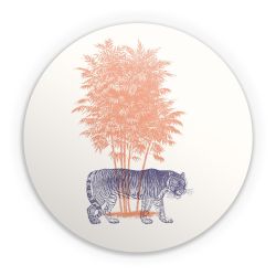 Folien für weitere Geräte matt