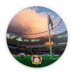 Folien für weitere Geräte matt