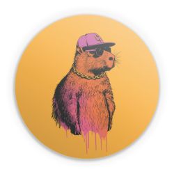 Folien für weitere Geräte matt