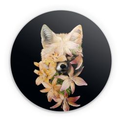 Folien für weitere Geräte matt