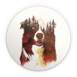 Folien für weitere Geräte matt