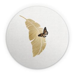 Folien für weitere Geräte matt