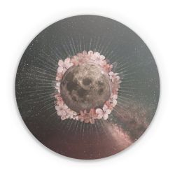 Folien für weitere Geräte matt